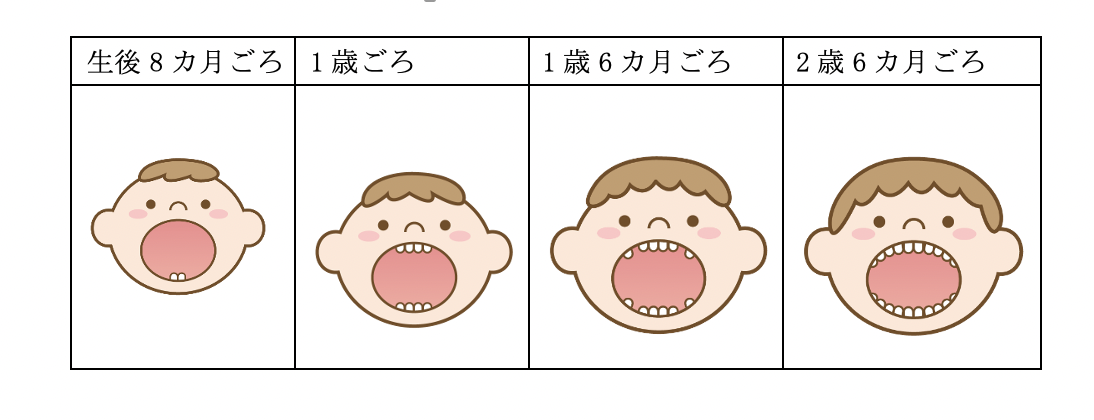子供の歯